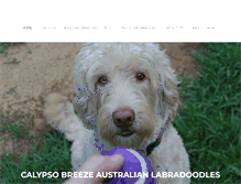 Tablet Screenshot of calypsobreezelabradoodles.com